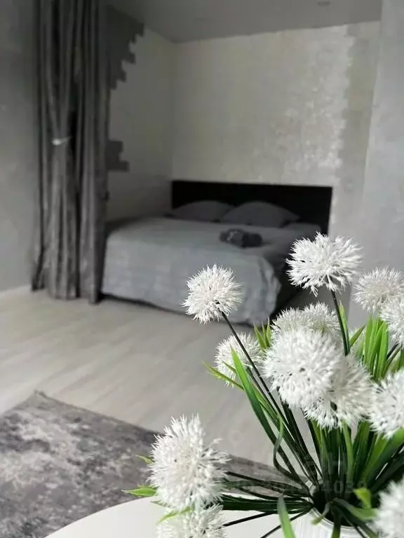 1-к кв. Адыгея, Майкоп ул. Чкалова, 84 (36.0 м) - Фото 1