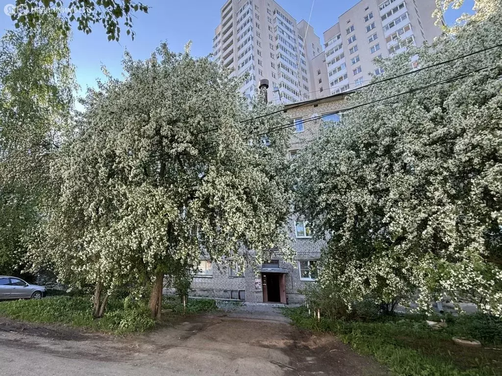 2-комнатная квартира: Колпино, Вознесенское шоссе, 55 (45.9 м) - Фото 1