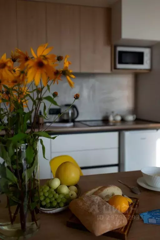 Студия Кировская область, Киров ул. Сурикова, 31 (29.0 м) - Фото 2