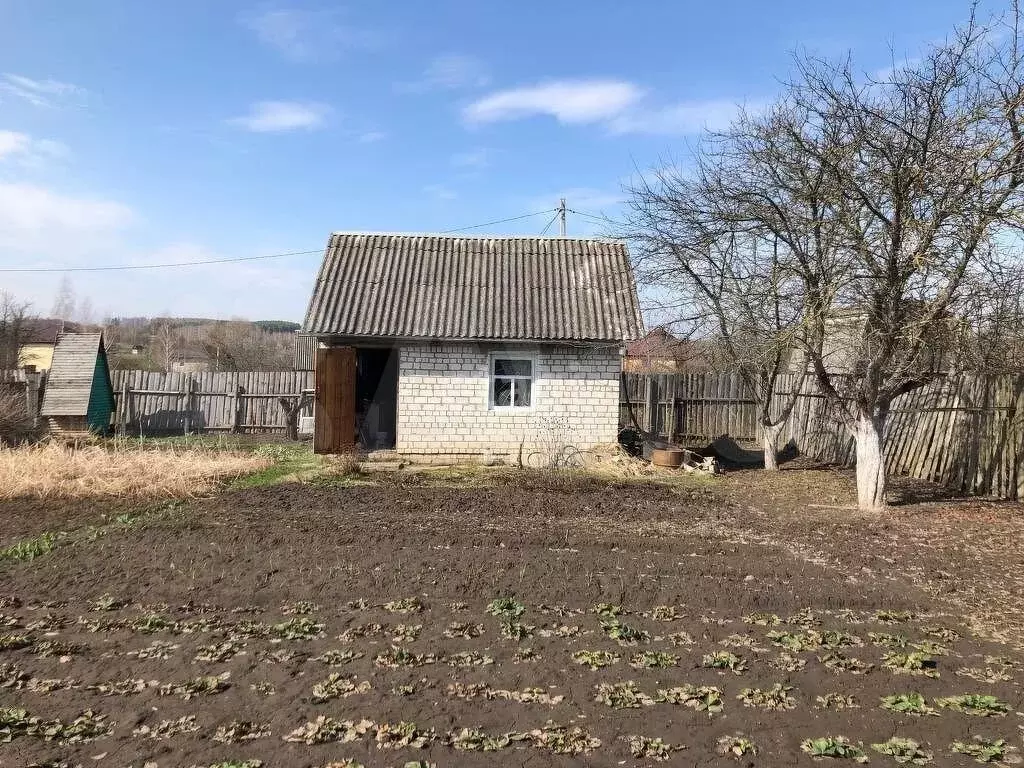 Купить Дачу В Новые Дарковичи Брянской Области