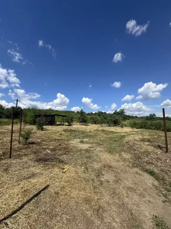 Участок в Волгоградская область, Волгоград Авангард СНТ,  (8.9 сот.) - Фото 1