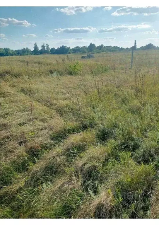 Участок в Воронежская область, Новоусманский район, Хреновское с/пос, ... - Фото 2