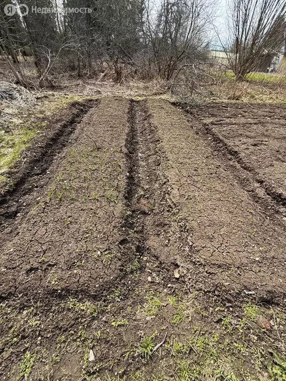 Дом в Костковское сельское поселение, садоводческое товарищество ... - Фото 1
