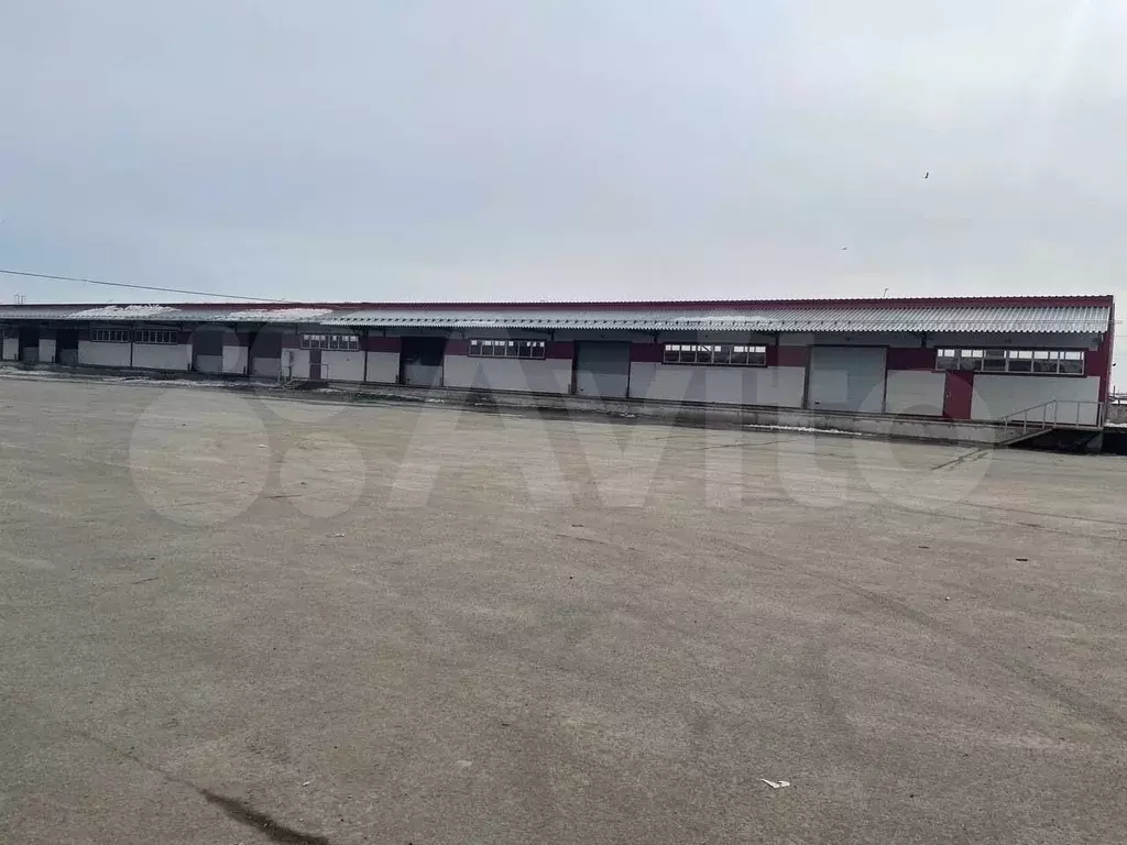 Сдам помещения свободного назначения 4845 м под склад, ТК, ... - Фото 1