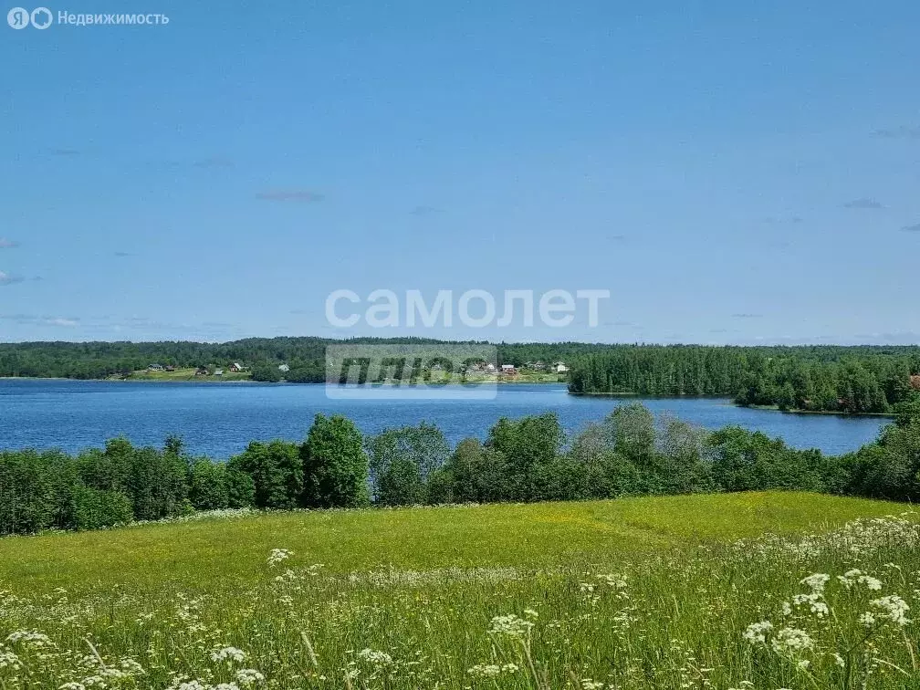 Участок в Вологодская область, Кирилловский муниципальный округ, село ... - Фото 1
