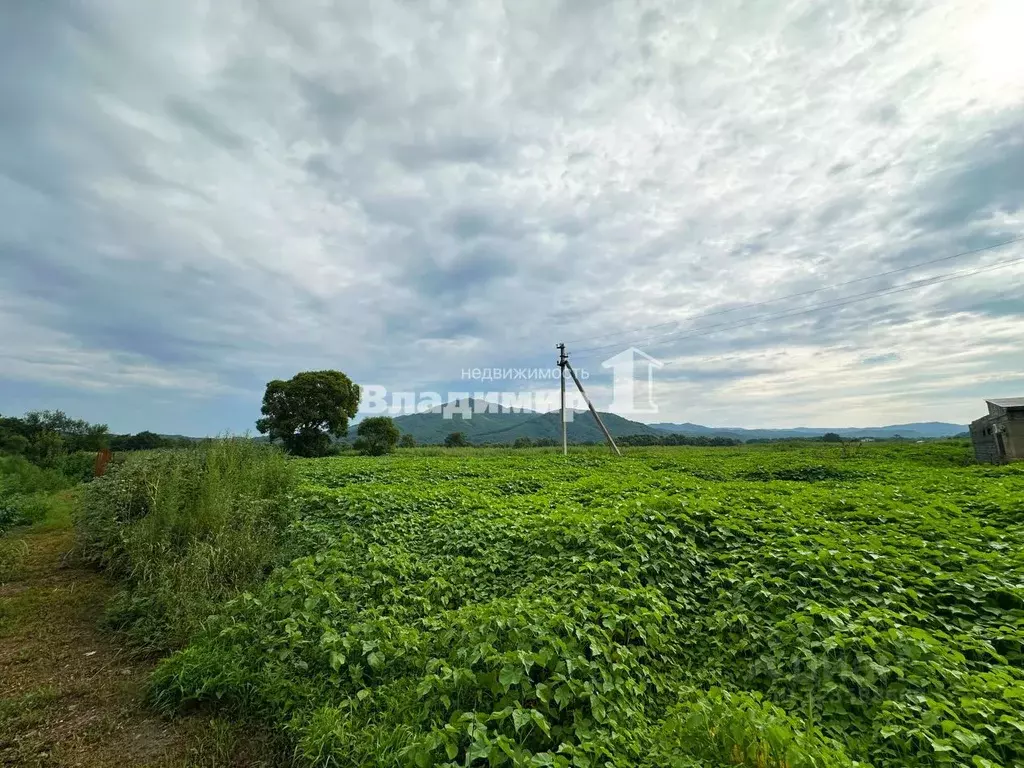 Участок в Приморский край, Партизанский муниципальный округ, с. ... - Фото 2