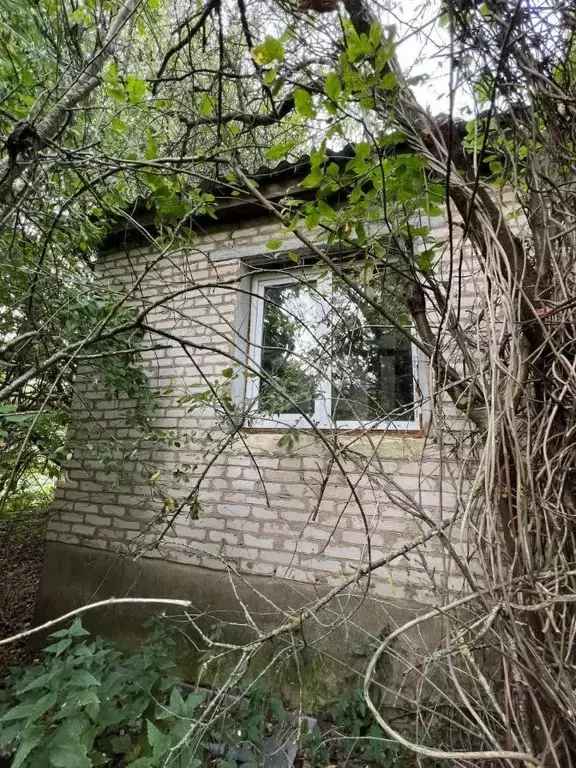 Дом в Тульская область, Щекинский район, Лазаревское с/пос, с. ... - Фото 2