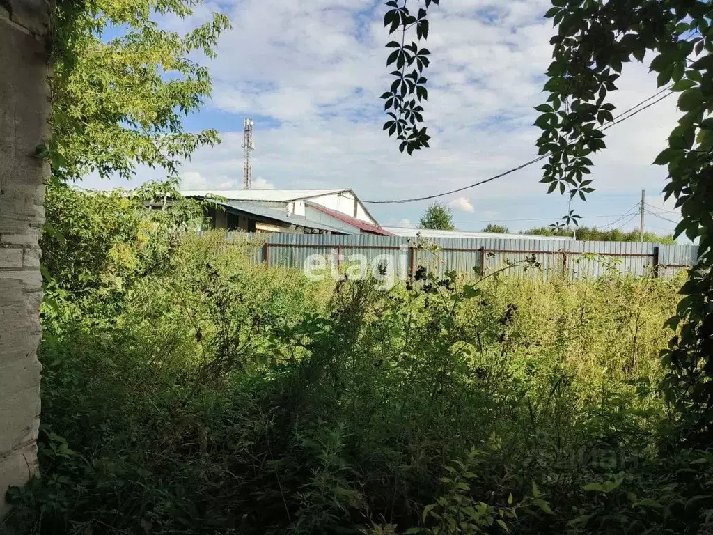 Помещение свободного назначения в Владимирская область, Покров ... - Фото 1