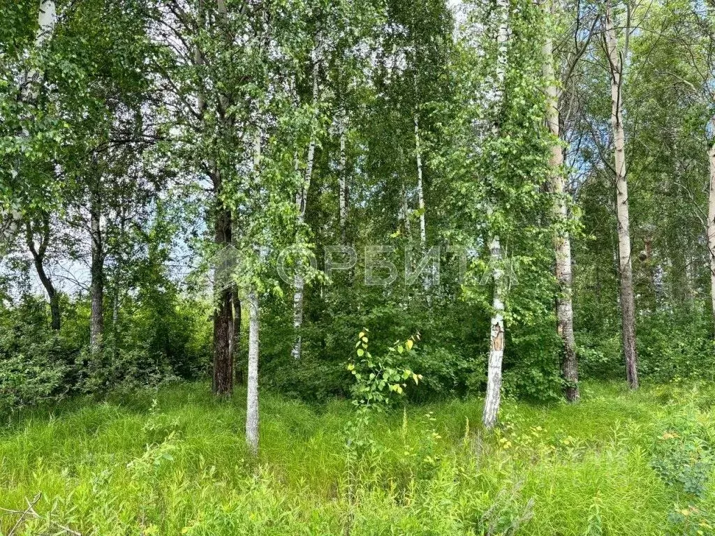 Участок в Тюменская область, Тюменский район, д. Зырянка  (10.5 сот.) - Фото 0