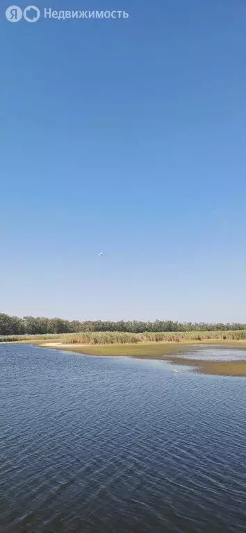 Участок в Азовский район, Задонское сельское поселение, дачное ... - Фото 0