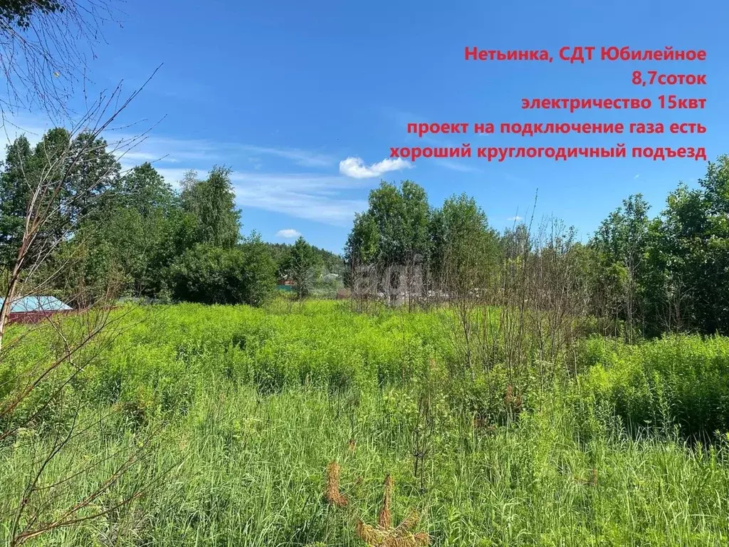 Купить Земельный Участок В Брянской Области