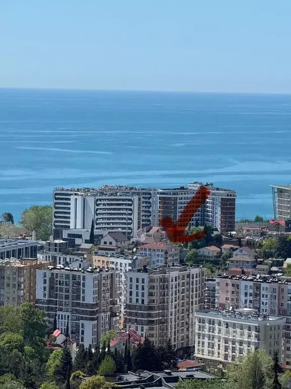 Студия Краснодарский край, Сочи ул. Полтавская, 32/1 (25.0 м) - Фото 1