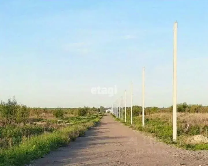 Участок в Ленинградская область, Ломоносовский район, Лопухинское ... - Фото 1