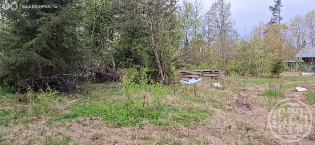 Участок в Ленинградская область, Луга (12 м) - Фото 0