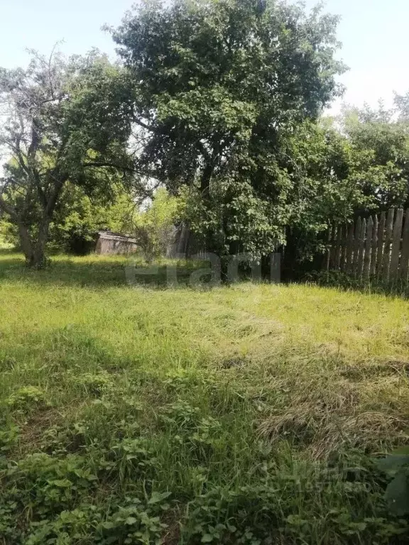 Дом в Владимирская область, Меленковский муниципальный округ, с. Ляхи ... - Фото 1