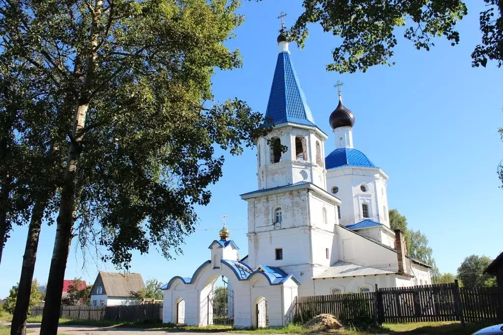 Участок в Владимирская область, Киржачский район, д. Ельцы  (17.0 ... - Фото 1