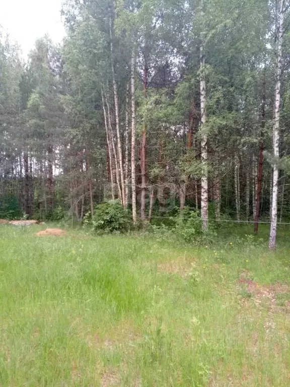 Участок в Псковская область, Гдовский район, Полновская волость, д. ... - Фото 2