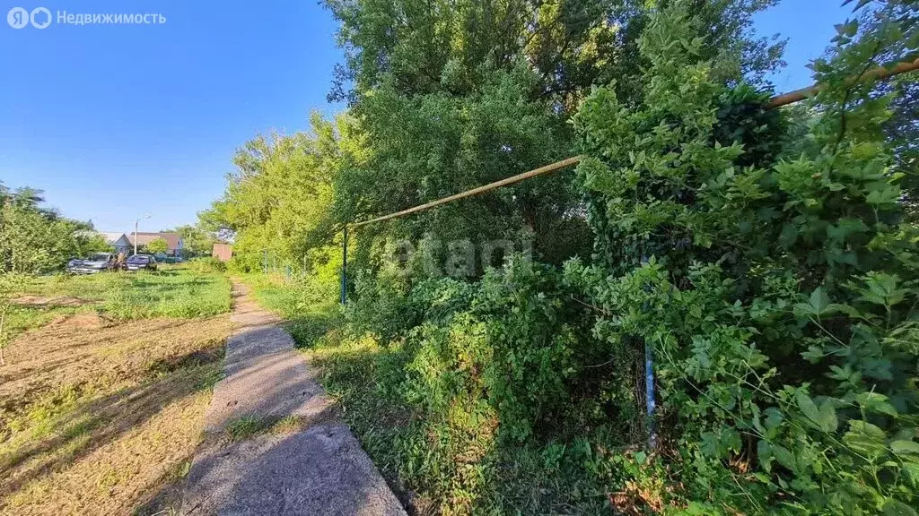 Участок в Белгородская область, рабочий посёлок Волоконовка, ... - Фото 1