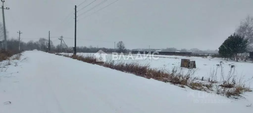 Участок в Владимирская область, Суздальский район, Селецкое ... - Фото 0