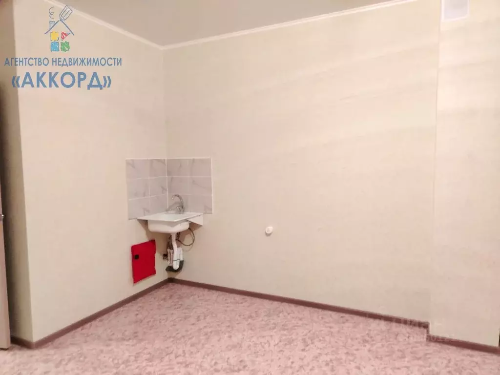 Студия Алтайский край, Бийск ул. Михаила Митрофанова, 2/2 (27.0 м) - Фото 1