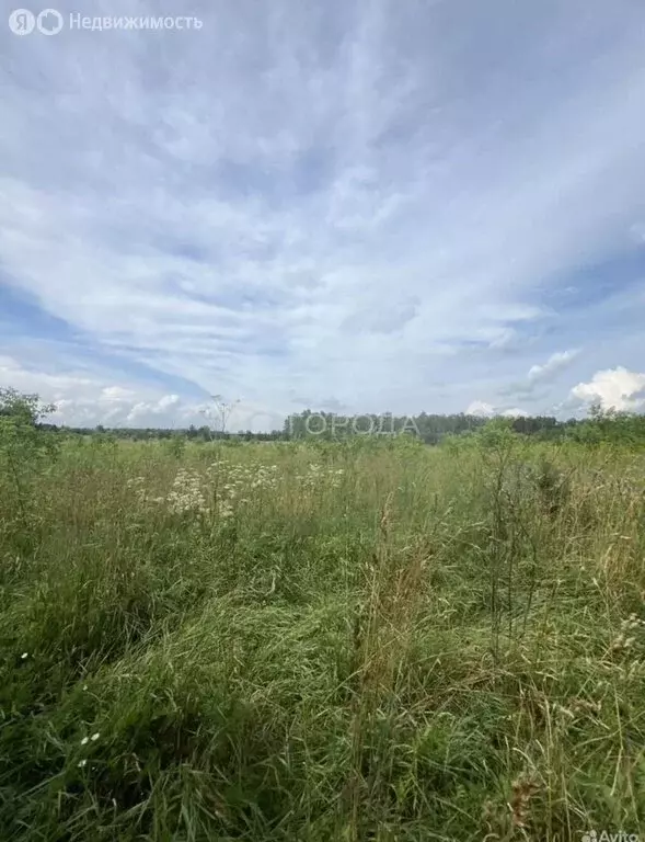 Участок в Первомайский район, Р-256 Чуйский тракт, 227-й километр (824 ... - Фото 1