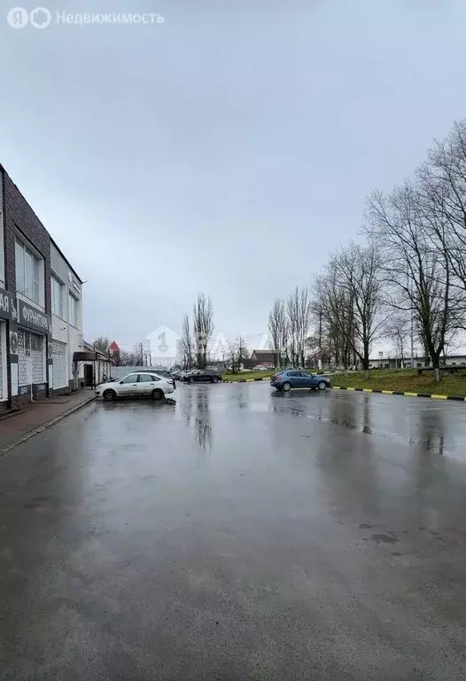 Офис (30 м) - Фото 2