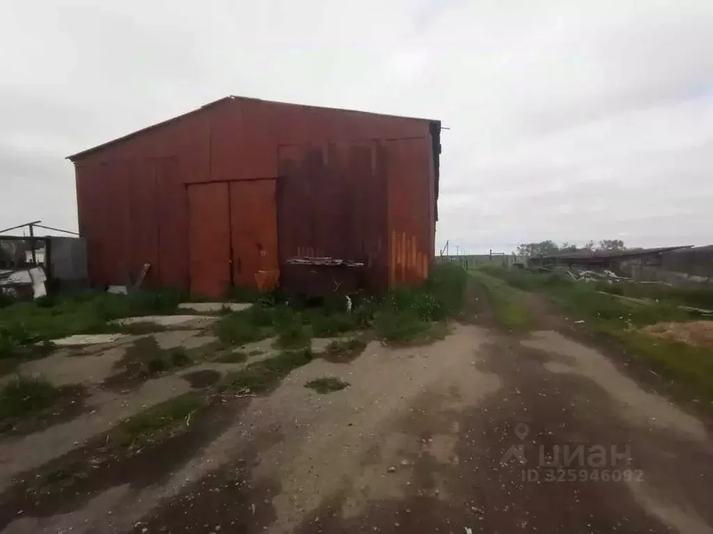 Склад в Курганская область, Макушинский муниципальный округ, с. ... - Фото 1