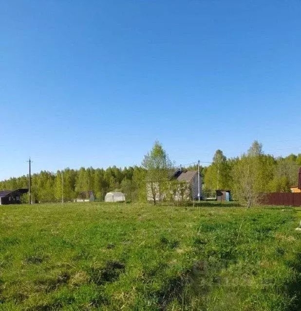 Участок в Ленинградская область, Лужский район, Толмачевское городское ... - Фото 1