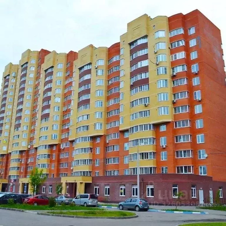 Помещение свободного назначения в Московская область, Щелково ул. ... - Фото 2