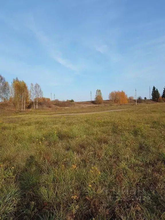 Участок в Марий Эл, Медведевский район, Руэмское с/пос, д. Яныково  ... - Фото 0