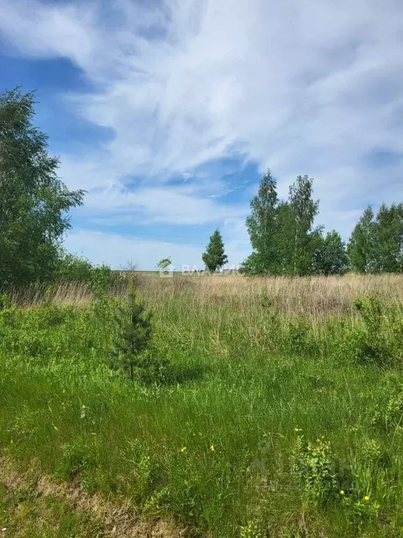 Участок в Владимирская область, Суздальский район, Павловское ... - Фото 1