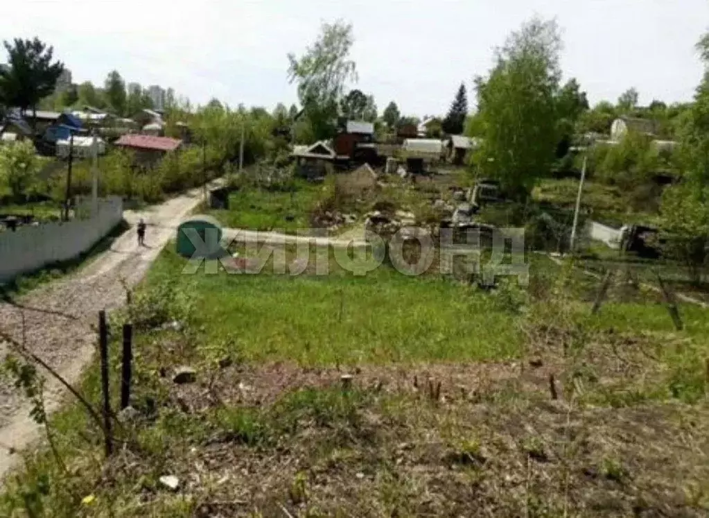 Участок в Новосибирская область, Новосибирск Ветеран СНТ, ул. ... - Фото 2