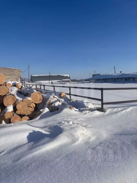 Склад в Тюменская область, с. Юргинское ул. Новая, 4 (500 м) - Фото 1