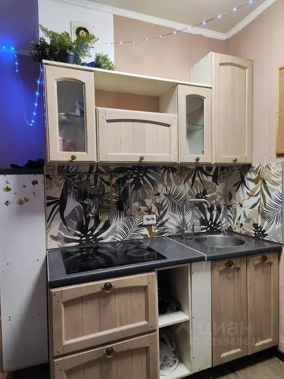 1-к кв. Санкт-Петербург просп. Ветеранов, 169к1 (23.0 м) - Фото 0