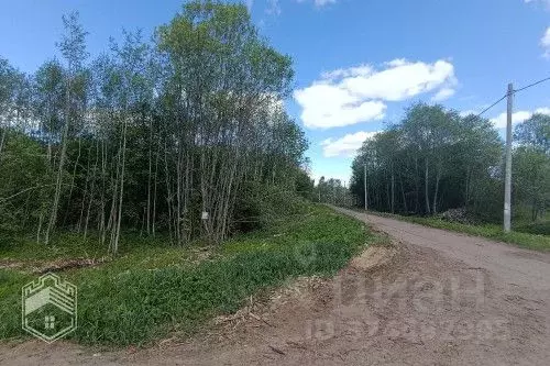 Участок в Новгородская область, Новгородский район, Савинское с/пос, ... - Фото 2
