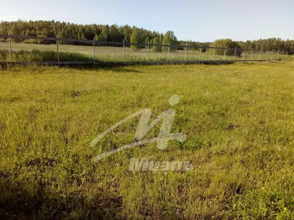 Продается участок в д. Луговая - Фото 1