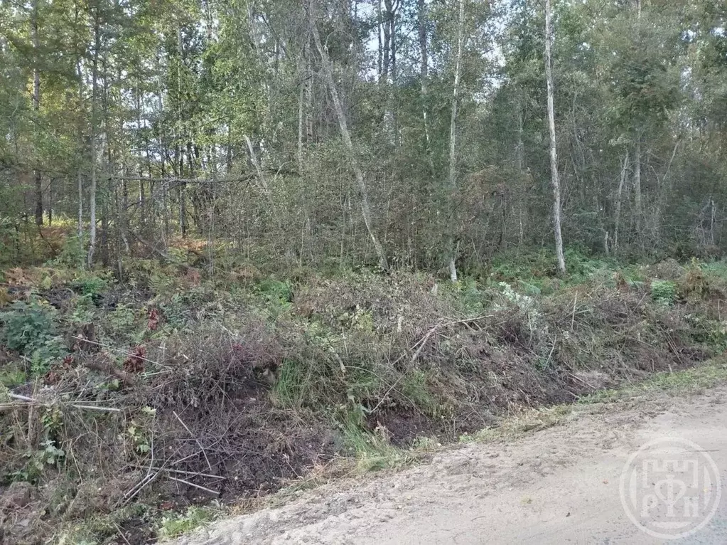 Участок в Ленинградская область, Всеволожский район, Агалатовское ... - Фото 2