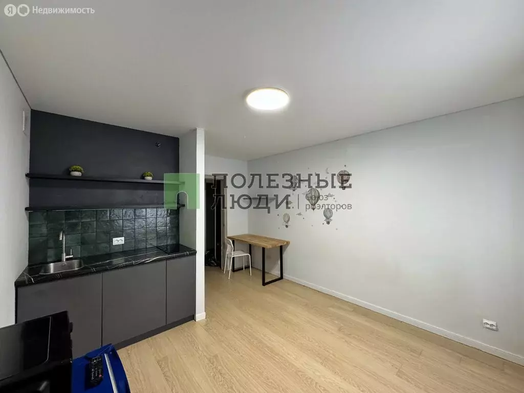 Квартира-студия: деревня Хохряки, улица Петра Чайковского, 5 (20 м) - Фото 2