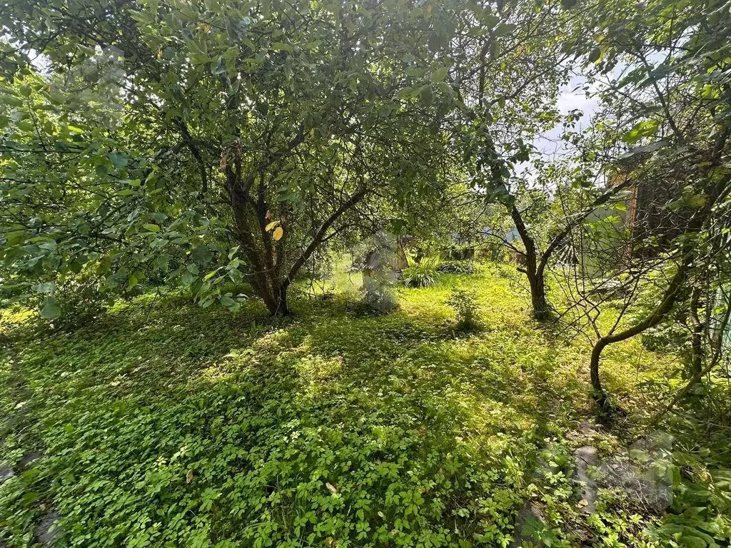 Участок, 12.2 сот., сельхоз (снт или днп) - Фото 2