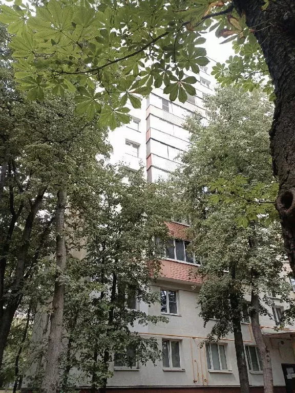 Продается 2-комнатная квартира - Фото 1