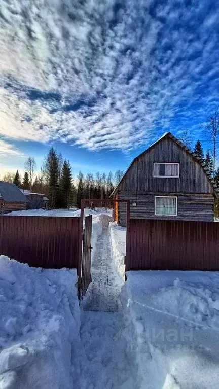 Дом в Коми, Сыктывдинский район, с. Выльгорт, Помидор садовое дачное ... - Фото 0