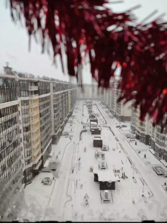 Студия Санкт-Петербург просп. Ветеранов, 171к5 (23.4 м) - Фото 2