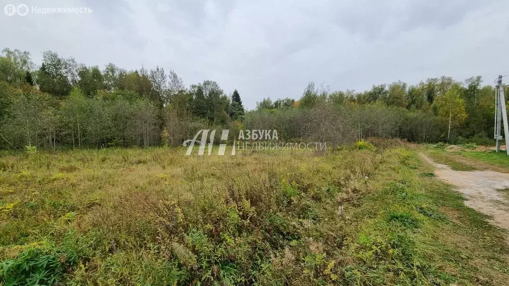 Участок в Московская область, городской округ Пушкинский, деревня ... - Фото 1