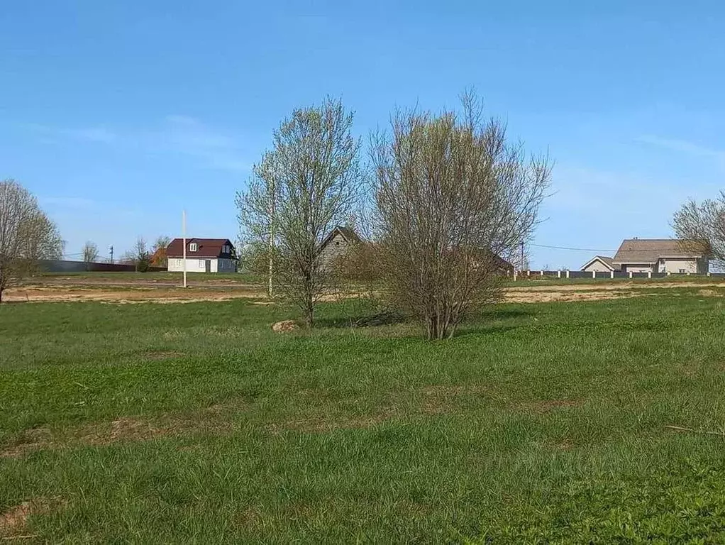 Участок в Ленинградская область, Всеволожский район, Лесколовское ... - Фото 0