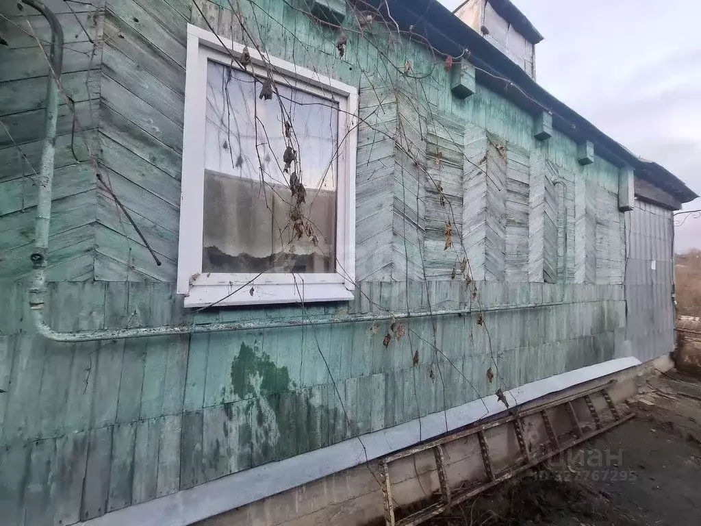 Дом в Воронежская область, с. Нижнедевицк ул. Гражданская, 92 (84 м) - Фото 1