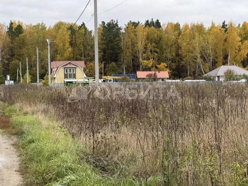 Участок в Тюменская область, Тюменский муниципальный округ, д. Ушакова ... - Фото 2