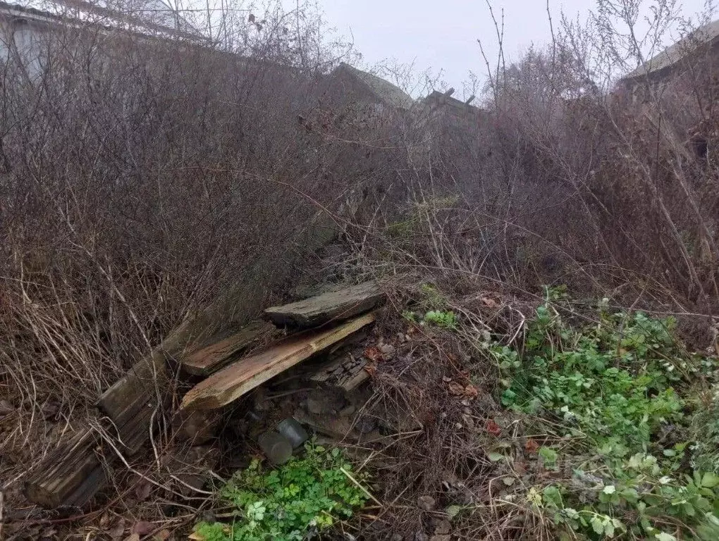Дом в Воронежская область, Бобровский район, Хреновское с/пос, с. ... - Фото 2