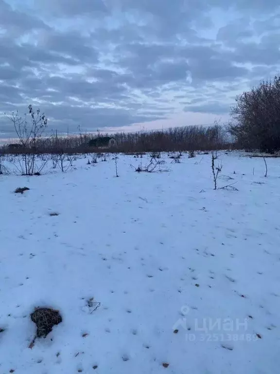 Участок в Омская область, Омский район, с. Усть-Заостровка  (5.0 сот.) - Фото 1