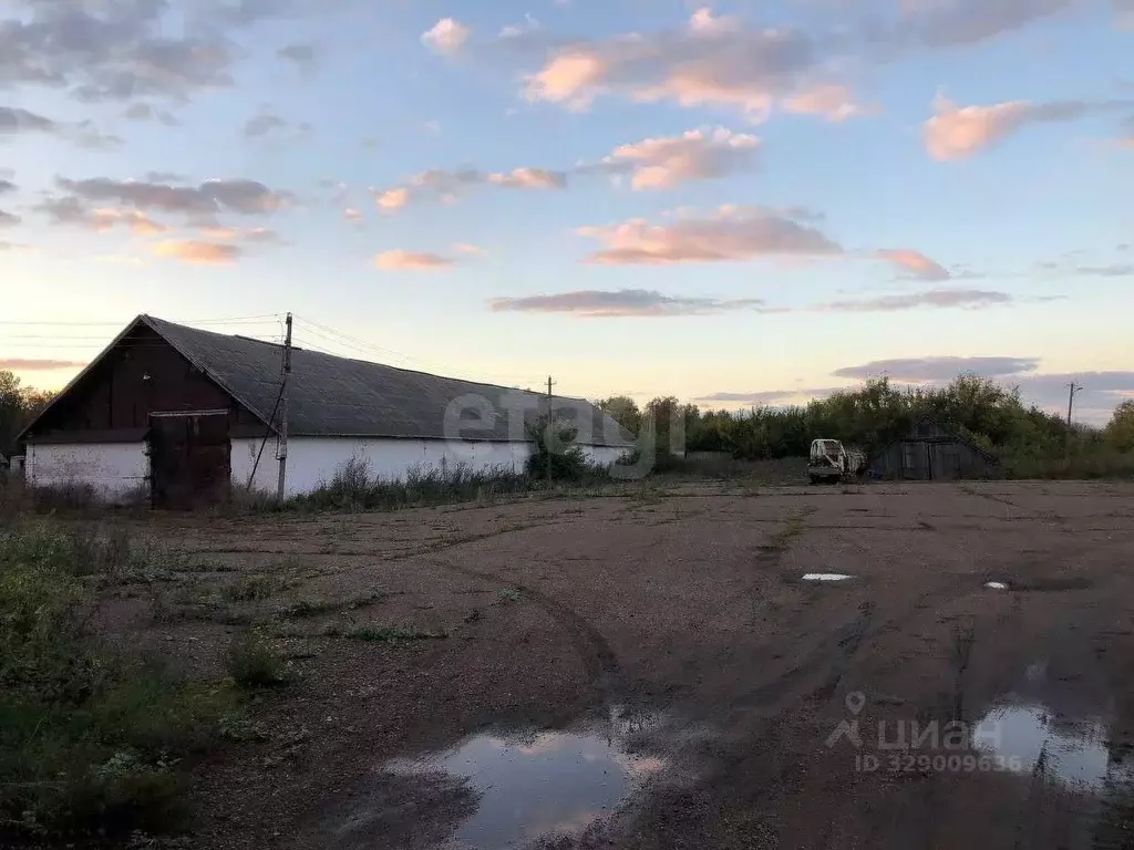 Склад в Башкортостан, Кушнаренковский район, Старогумеровский ... - Фото 1