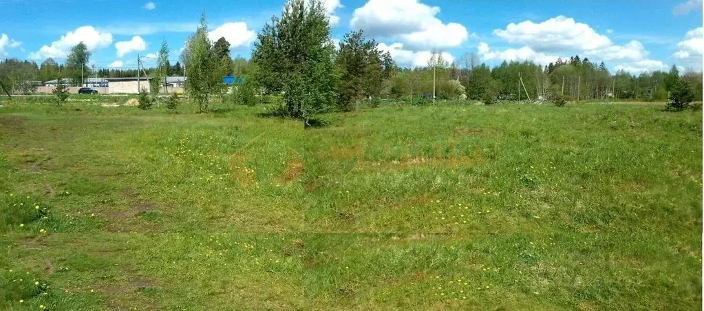Участок в Ленинградская область, Выборгский район, пос. Первомайское  ... - Фото 1